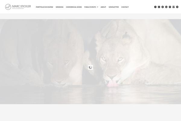 Studiofolio theme site design template sample