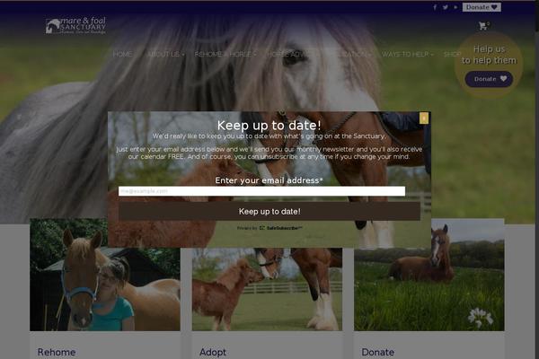 Site using Donation-for-woocommerce plugin