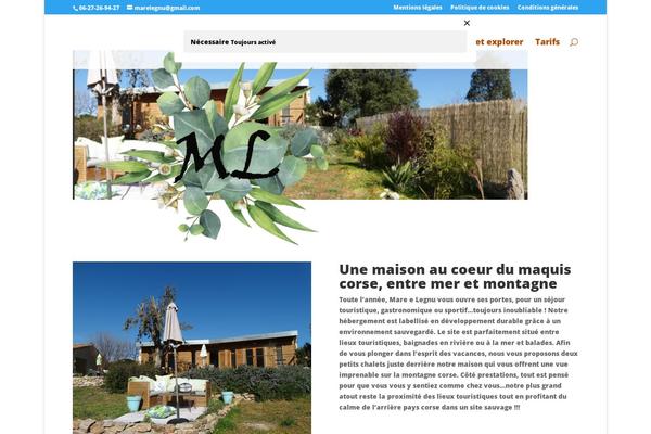 Site using Divi-booster plugin