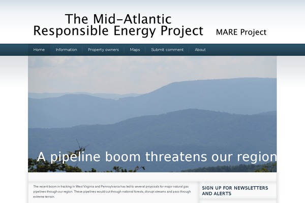 The-cause theme site design template sample