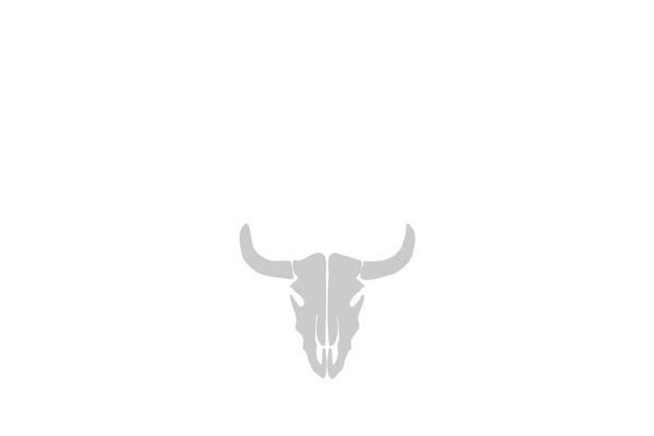 Inspiry-real-places-child theme site design template sample
