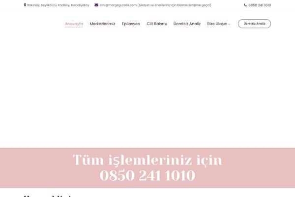Site using Wp-live-chat-software-for-wordpress plugin