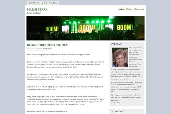 Misty Look theme site design template sample
