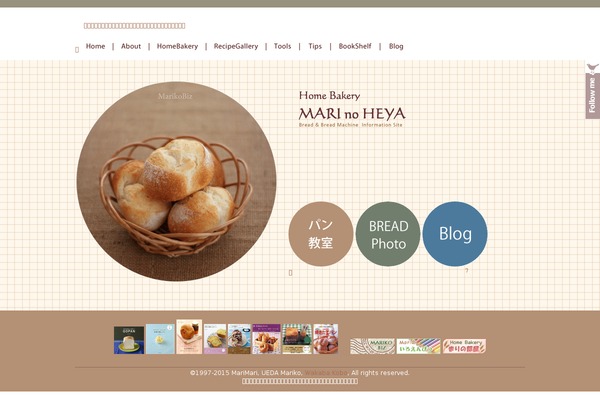 mari2.net site used Spun