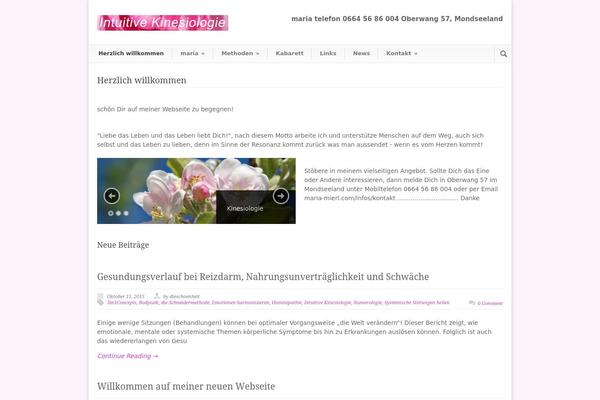 Modernize v3 theme site design template sample