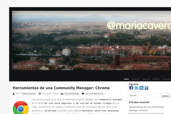 Site using Easy Social Icons plugin