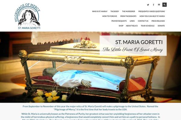 Wanium theme site design template sample