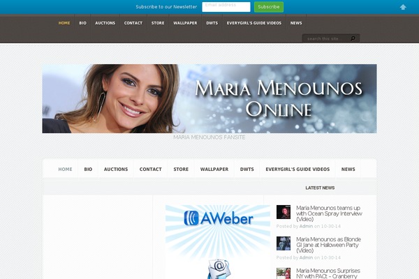 Aggregate theme site design template sample