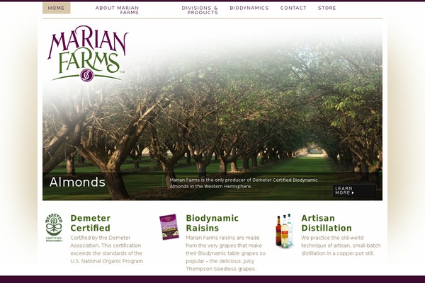 Site using Jet-popup plugin