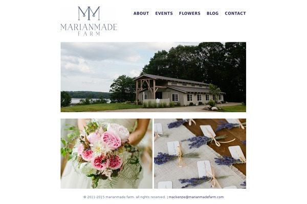 Edin theme site design template sample