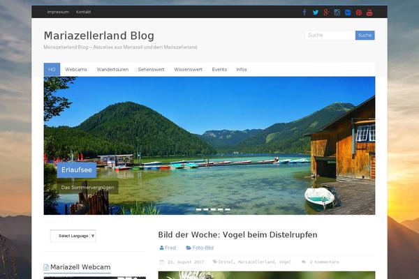 vidiyal theme websites examples