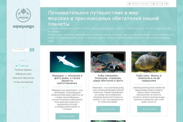 Gridbox theme site design template sample