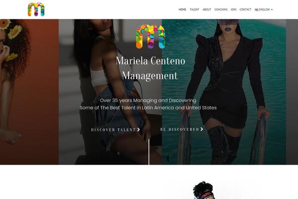 Site using Custom css-js-php plugin