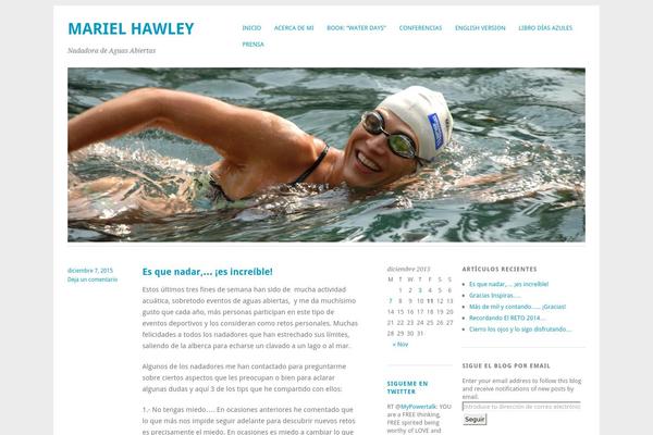 Skilt theme site design template sample