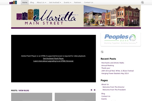 DMS theme site design template sample