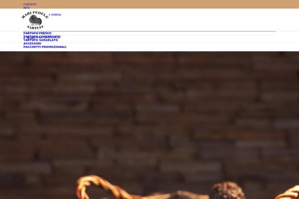 Site using Wp-media-folder plugin
