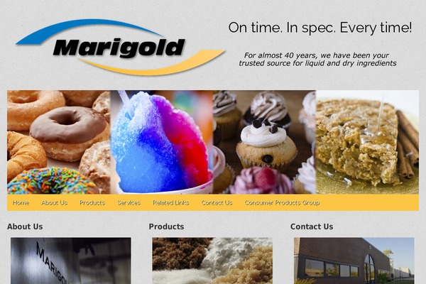 Gridiculous Pro theme site design template sample
