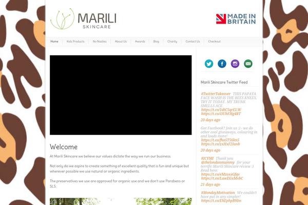 Modernize-v3-19 theme site design template sample