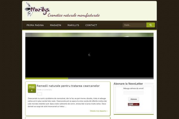 Site using Sendit Newsletter plugin