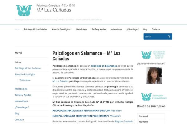 Academica theme site design template sample