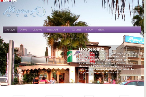 5star theme site design template sample