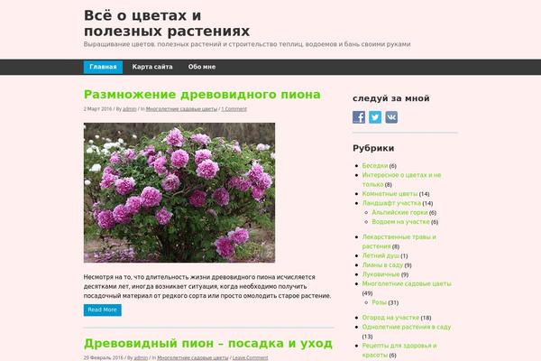 Minn Lite theme site design template sample