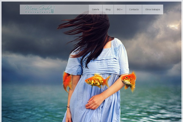 wp_glare5-v1.6 theme websites examples