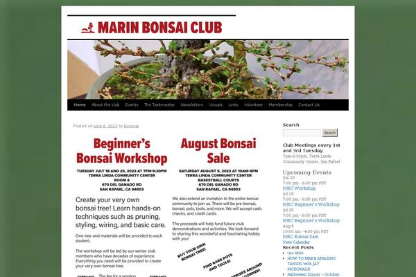 Site using Responsive TwentyTen plugin
