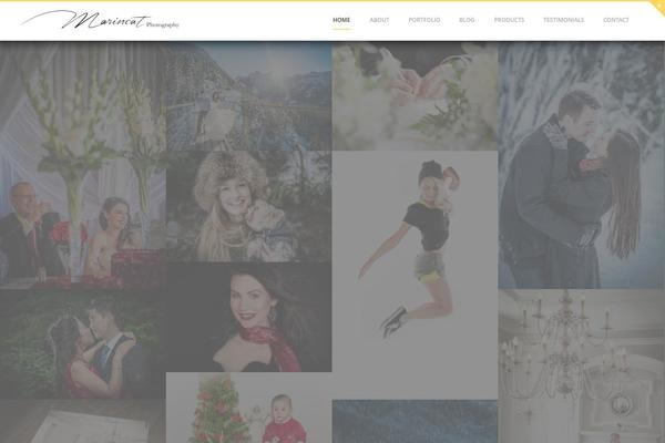Flexit theme site design template sample