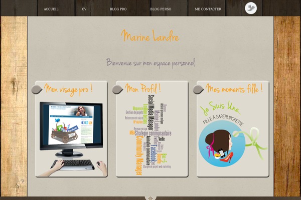 MagulescoMagazine theme websites examples