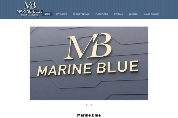 Bizco theme site design template sample