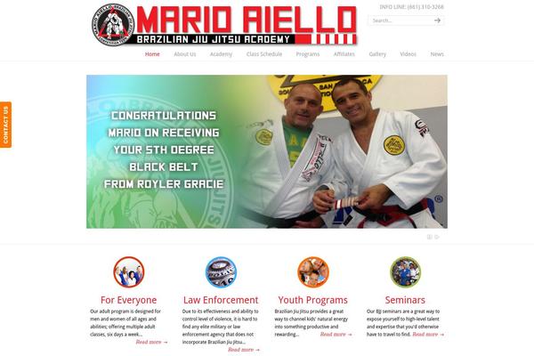 Site using Custom Facebook Feed plugin