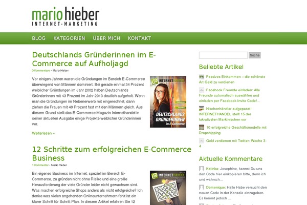 hiebermedia_theme theme websites examples