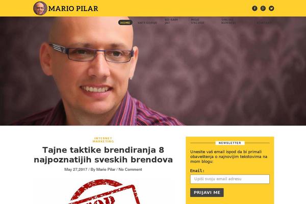Marketing-expert theme site design template sample