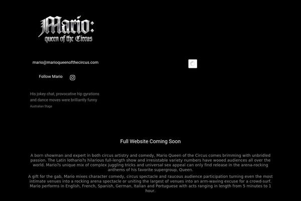 Salbii theme site design template sample