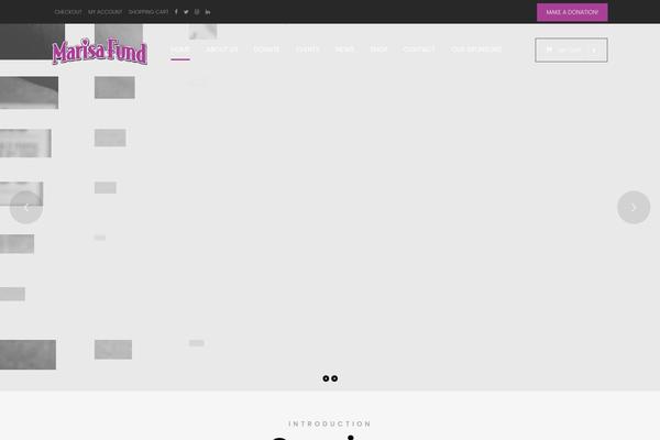 Site using AccessPress Instagram Feed plugin