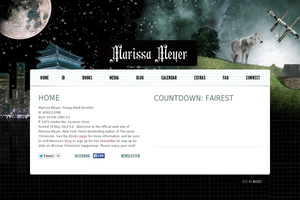 Site using Social Icons Widget by WPZOOM plugin