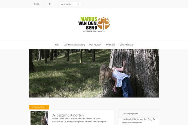 Lucid theme site design template sample