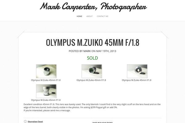 Capture theme site design template sample