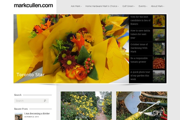 Site using Custom-search-plugin plugin