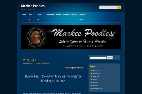 Online Marketer theme site design template sample