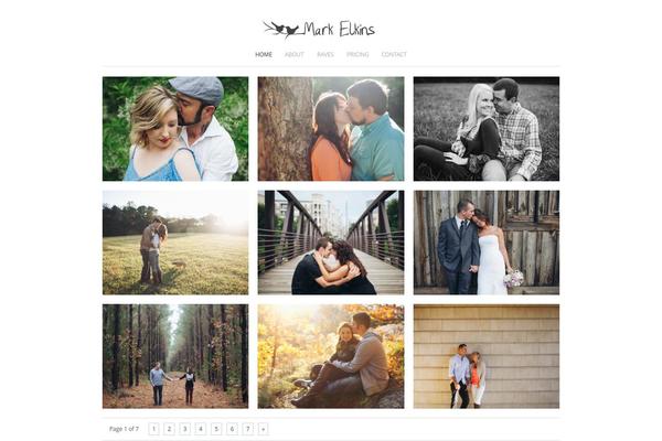Site using Portfolio-filter-gallery plugin