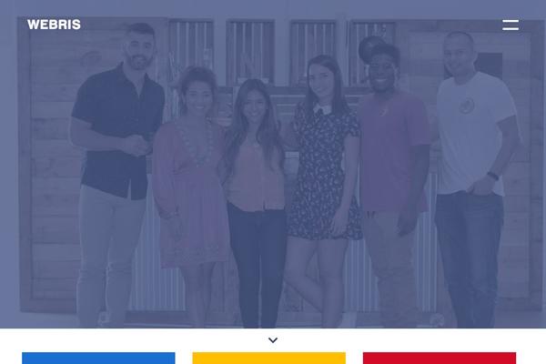 webris theme websites examples