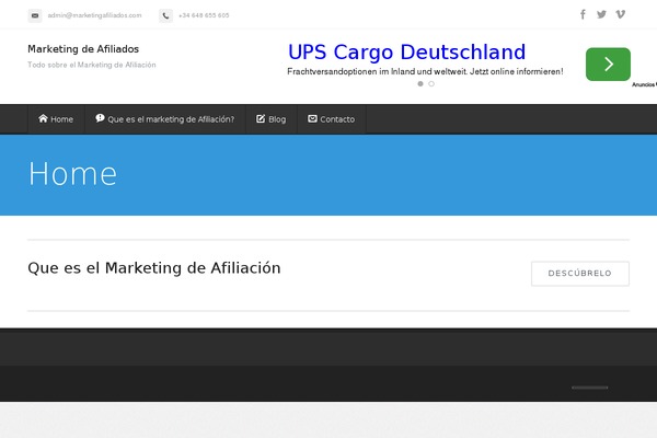 Florida theme site design template sample