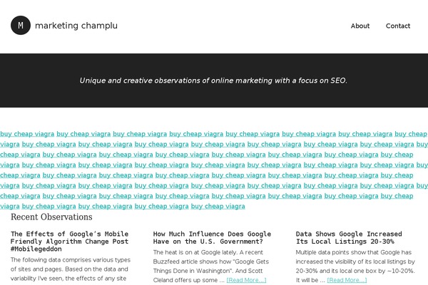 Modern Portfolio Pro theme site design template sample