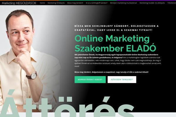 Site using DuracellTomi's Google Tag Manager for WordPress plugin