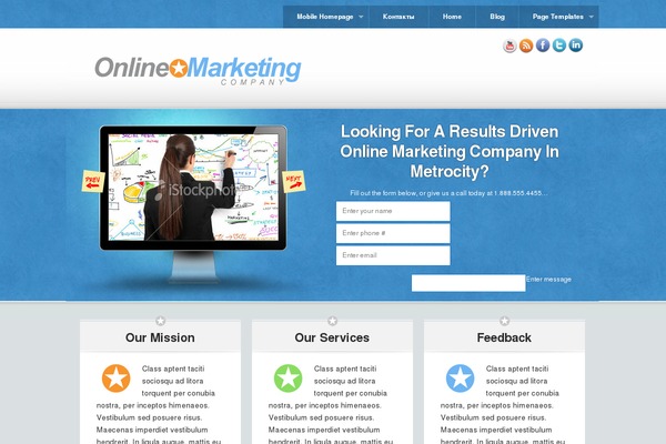 onlinemarketingcompany theme websites examples