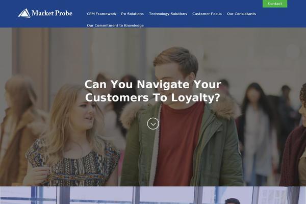 marketprobe.com site used Market-probe