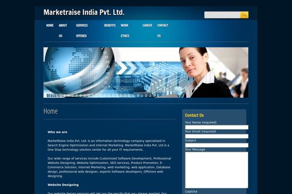 Online Marketer theme site design template sample