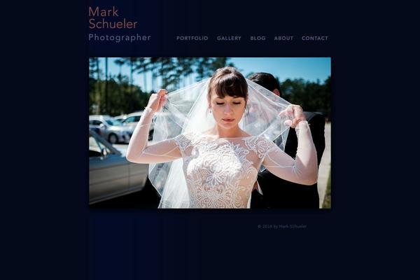 schueler theme websites examples